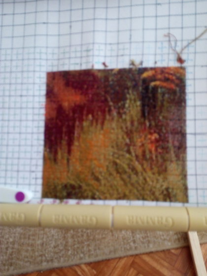 Этап процесса «Oktomvri»