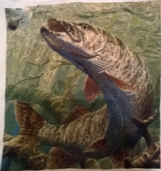 Этап процесса «щука»