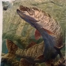 Процесс «щука»