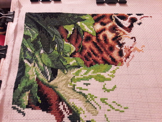 Этап процесса «"Leopard in repose " Dimensions»