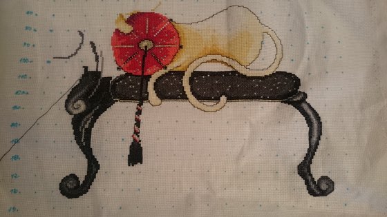 Этап процесса «Гламурная кошечка»