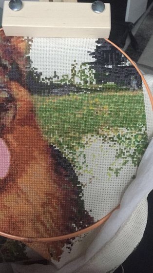 Этап процесса «Мой немецкий пес»