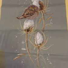 Процесс «Воробьиный сычик»