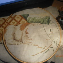 Процесс «Пёсик»