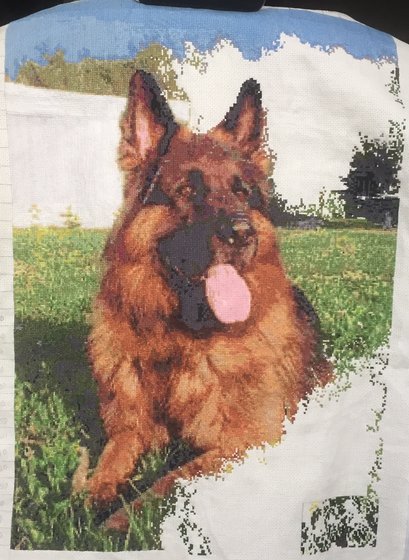 Этап процесса «Мой немецкий пес»