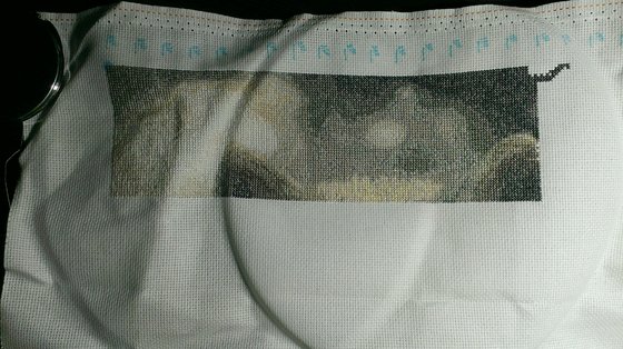 Этап процесса «Девушка и белый волк»