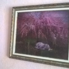 Процесс «Единорог»