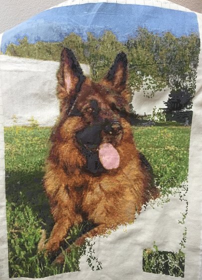 Этап процесса «Мой немецкий пес»