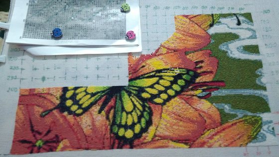 Этап процесса «бабочки и лилии»