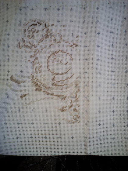 Этап процесса «Красота вечна»