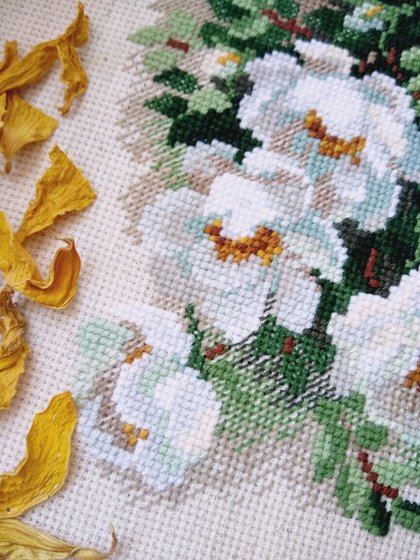 Этап процесса «1351 Белый шиповник "Риолис"»