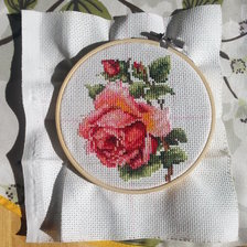 Процесс «Роза»