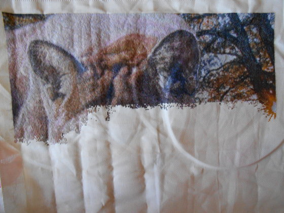 Этап процесса «Пума»