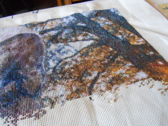 Этап процесса «Пума»