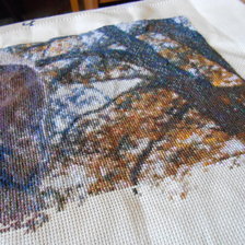 Процесс «Пума»