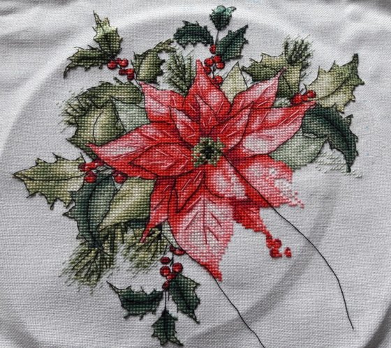 Этап процесса «Poinsettia»