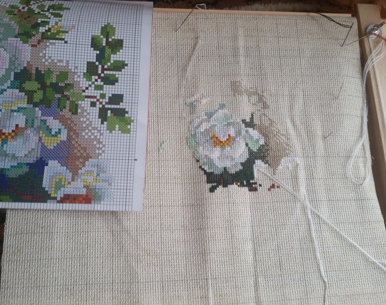 Этап процесса «Riolis 1351 - белый шиповник»