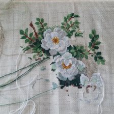 Процесс «Riolis 1351 - белый шиповник»