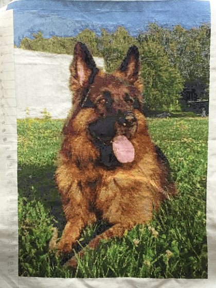 Этап процесса «Мой немецкий пес»