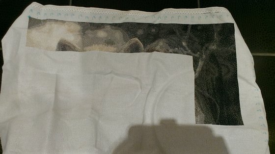 Этап процесса «Девушка и белый волк»