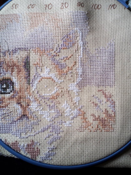 Этап процесса «Софочка»