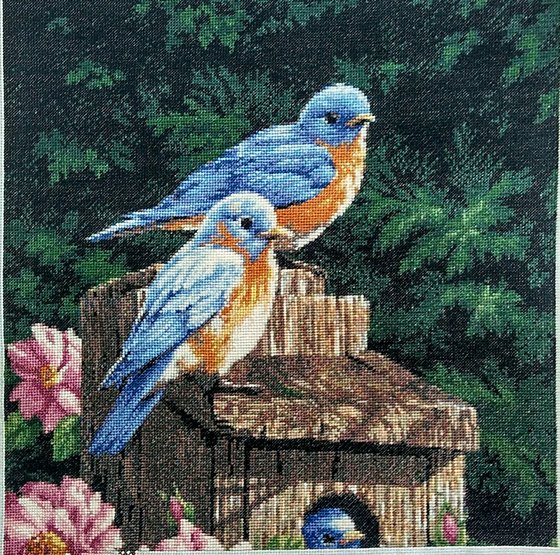 Этап процесса «Мои любимые птички»