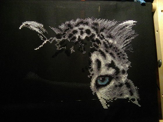 Этап процесса «Снежный барс»