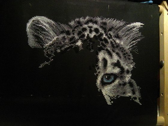 Этап процесса «Снежный барс»