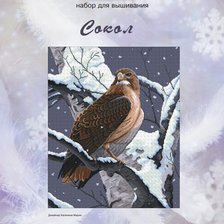 Процесс «Набор для вышивания "Сокол" Nitex»
