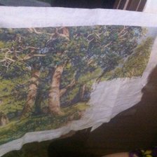 Процесс «дубовая роща»