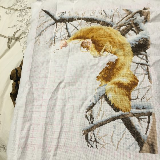 Этап процесса «Рыжий кот от золотого руна»