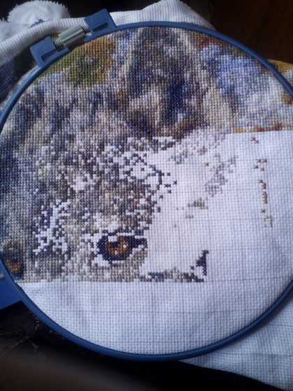 Этап процесса «Первый снег. Пара волков»