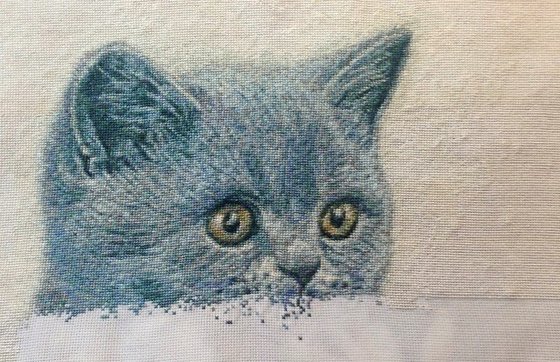 Этап процесса «Little Lord»