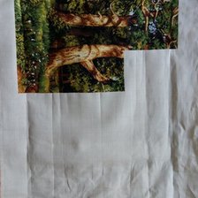 Процесс «Дубовая роща»