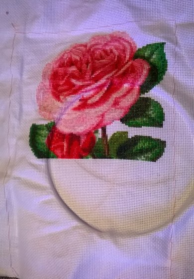 Этап процесса «Розочка»