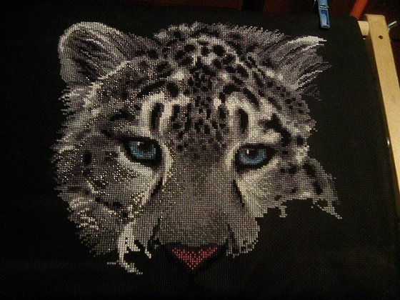 Этап процесса «Снежный барс»