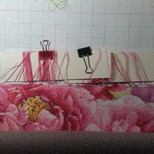 Процесс «Пионы от фирмы Алиса»