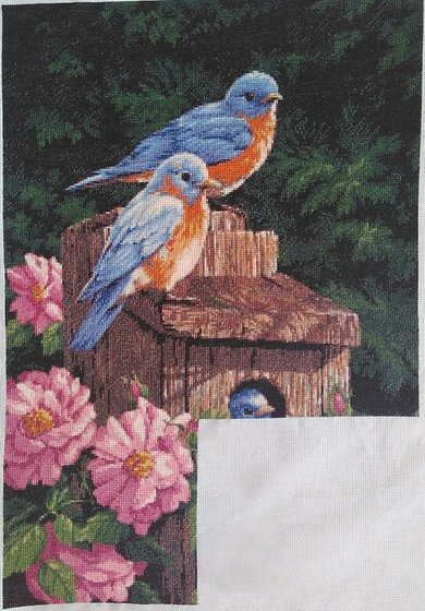 Этап процесса «Мои любимые птички»