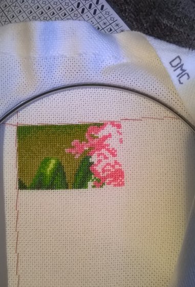 Этап процесса «Роскошные павлины»