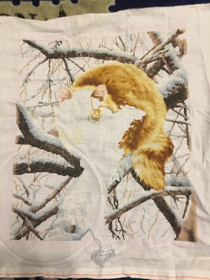 Этап процесса «Рыжий кот от золотого руна»