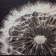 Процесс «Одуванчик»