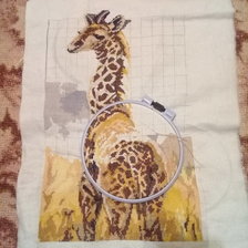 Процесс «Жираф»