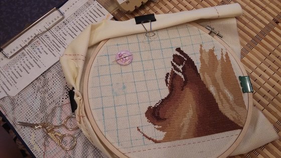 Этап процесса «Рожденные свободными»