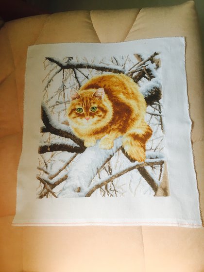 Этап процесса «Рыжий кот от золотого руна»