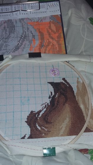 Этап процесса «Рожденные свободными»