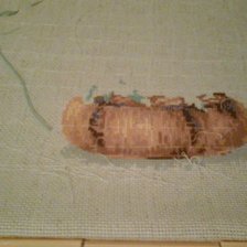 Процесс «Французская лаванда-процесс»