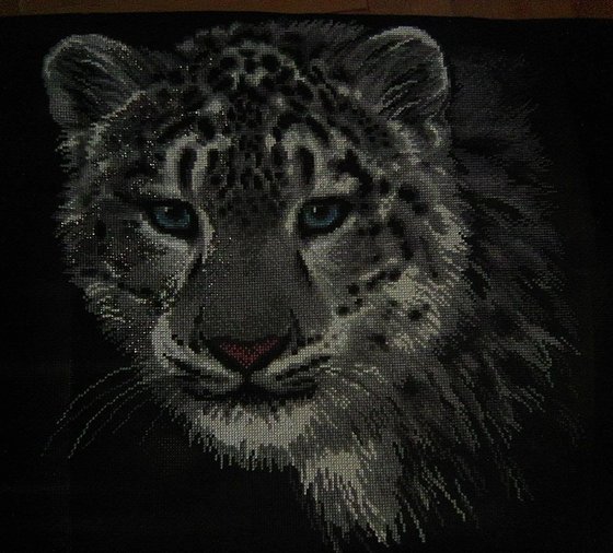 Этап процесса «Снежный барс»