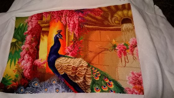 Этап процесса «Роскошные павлины»