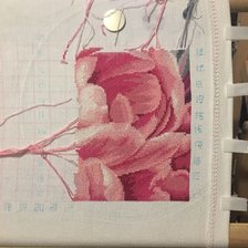 Процесс «Пионы»