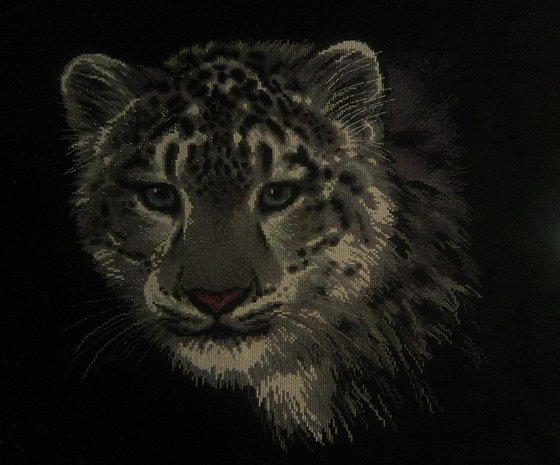 Этап процесса «Снежный барс»